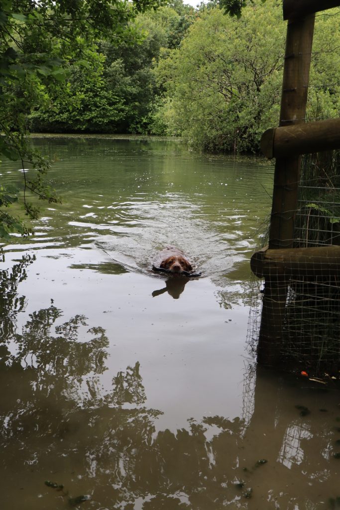 Muddy and your website: two ways to take bookings online