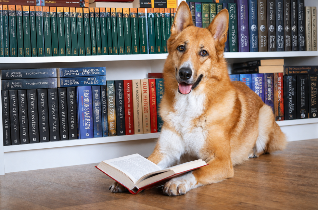 GDPR for dog fields: a plain-English guide for UK field owners
